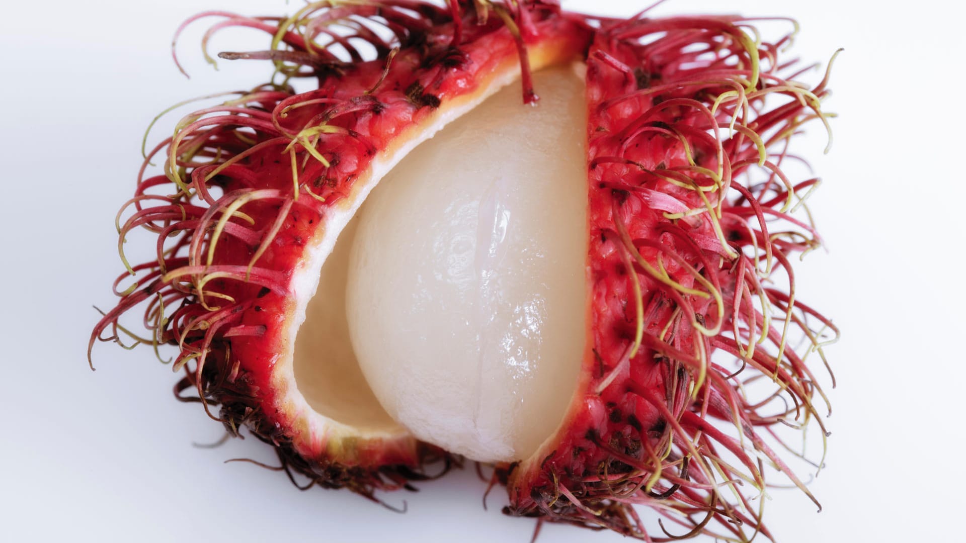 Rambutan (Nephelium lappaceum)