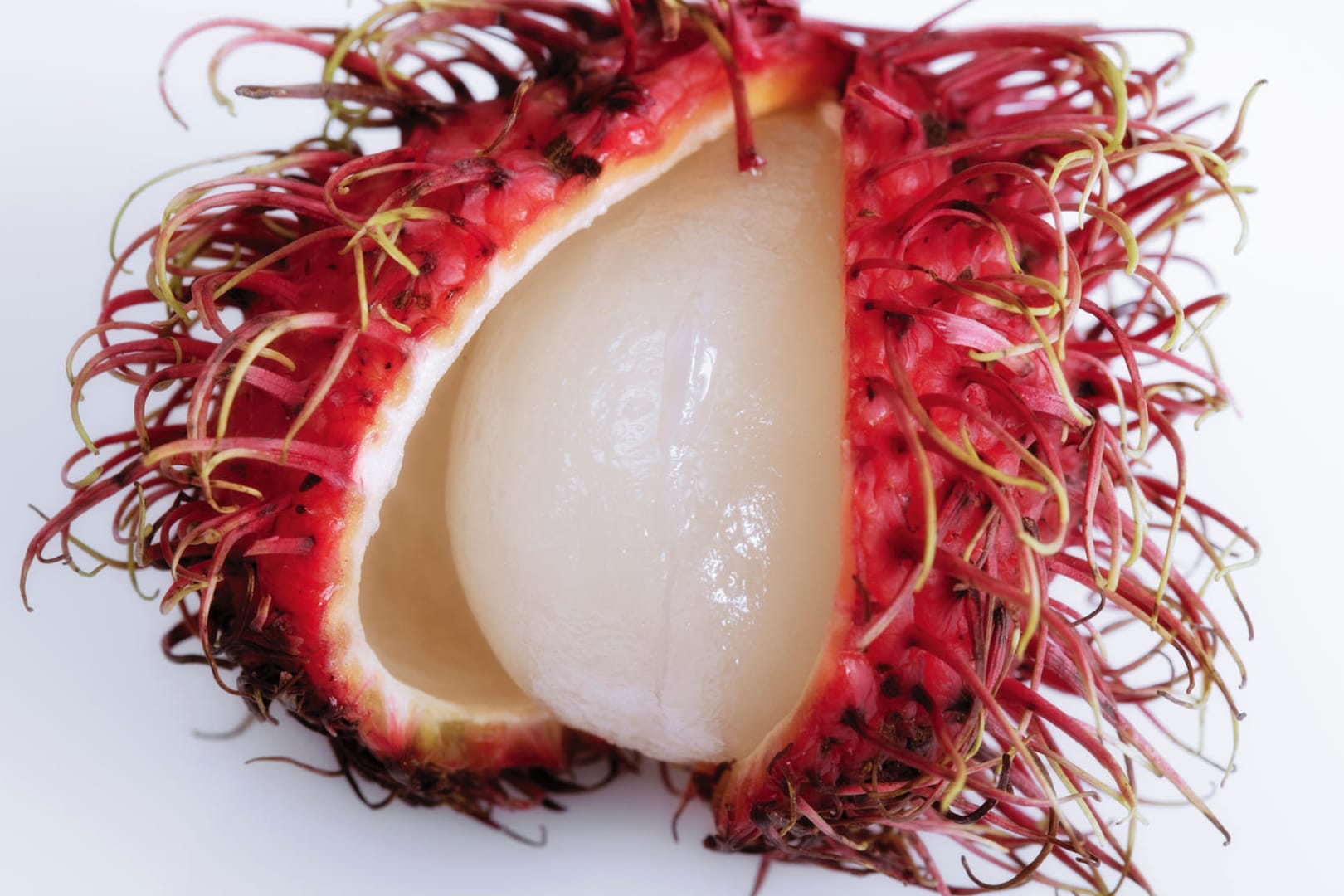 Rambutan (Nephelium lappaceum)