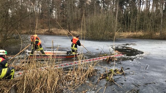 Feuerwehr rettet Hund aus dem Eis