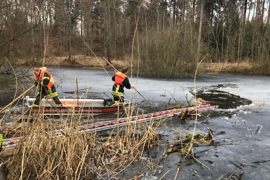 Feuerwehr rettet Hund aus dem Eis