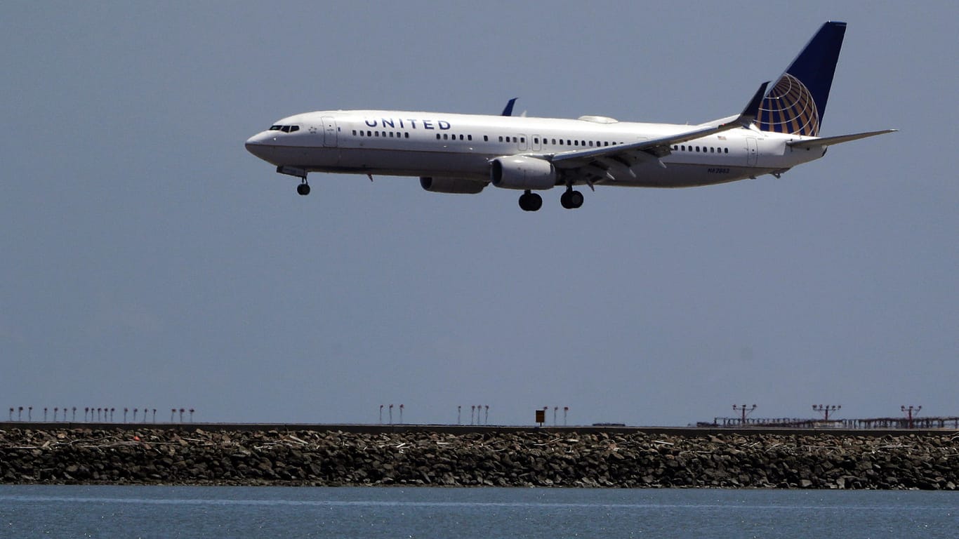 Ein Flugzeug der Fluglinie United Airlines: Die Flugbegleitung bestand darauf den Welpen ins Gepäckfach zu setzen, wo er letztendlich starb.