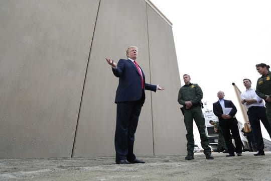Dieses Modell scheint Trump zu gefallen.
