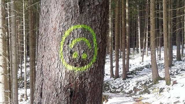 Smiley ist auf einen Baum gesprüht Smiley ist auf einen Baum gesprüht