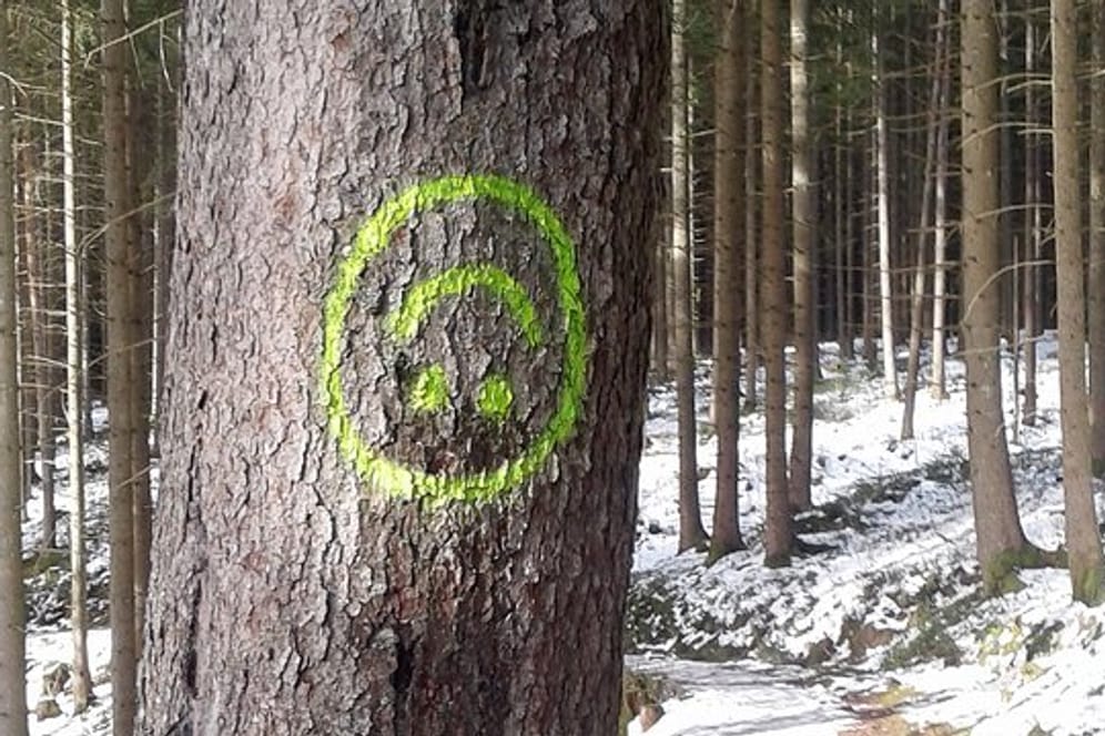 Smiley ist auf einen Baum gesprüht