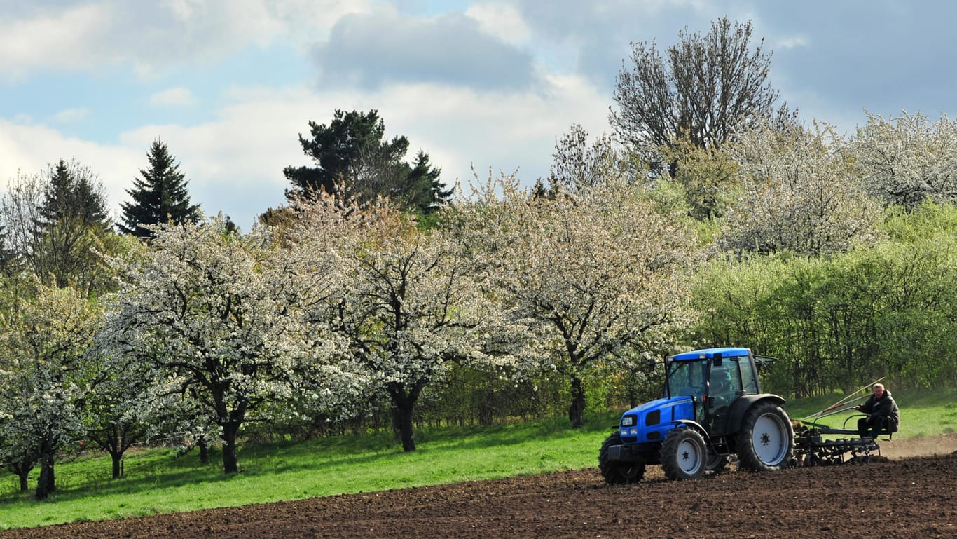 Rotstift bei Regionalförderung: Ein Traktor rollt bei Tiefthal nahe Erfurt über einen Acker an blühenden Obstbäumen vorbei.
