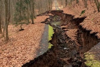 Wo früher ein Waldweg war, befindet sich jetzt eine rund 35 Meter lange und 2,5 Meter tiefe Spalte im Boden.