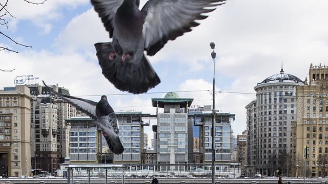 Britische Botschaft neben dem russischen Außenministerium in Moskau.