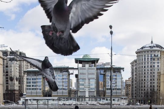 Britische Botschaft neben dem russischen Außenministerium in Moskau.