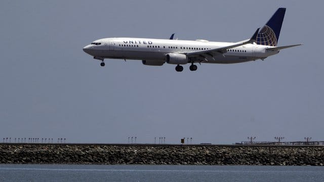 Vierbeiner bereiten der United Airlines im Moment ein tierisches Problem.