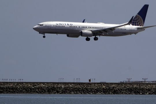 Vierbeiner bereiten der United Airlines im Moment ein tierisches Problem.