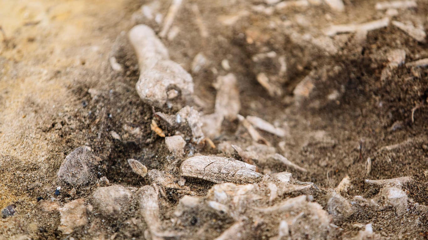 Eine Brandgruben-Grabstelle im Tagebau Nochten: Wissenschaftler entdeckten hier eine über 3000 Jahre alte Siedlungslandschaft.