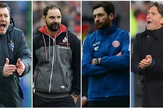 HSV-Trainer Titz, Kölns Ruthenbeck, Mainz' Schwarz und Wolfsburgs Labbadia: Alle vier Teams stecken mitten im Abstiegskampf.