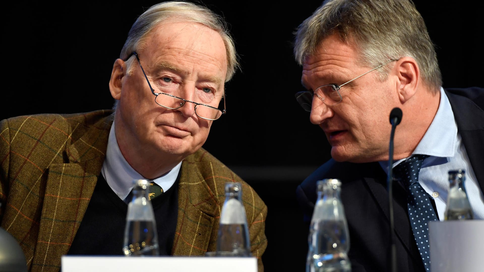 Die AfD-Vorsitzenden Meuthen und Gauland: Ihre Partei weist eine ausdrückliche Nähe zu Russland auf – wie fast alle rechten Parteien in Europa. Die AfD-Vorsitzenden Meuthen und Gauland: Ihre Partei weist eine ausdrückliche Nähe zu Russland auf – wie fast alle rechten Parteien in Europa.