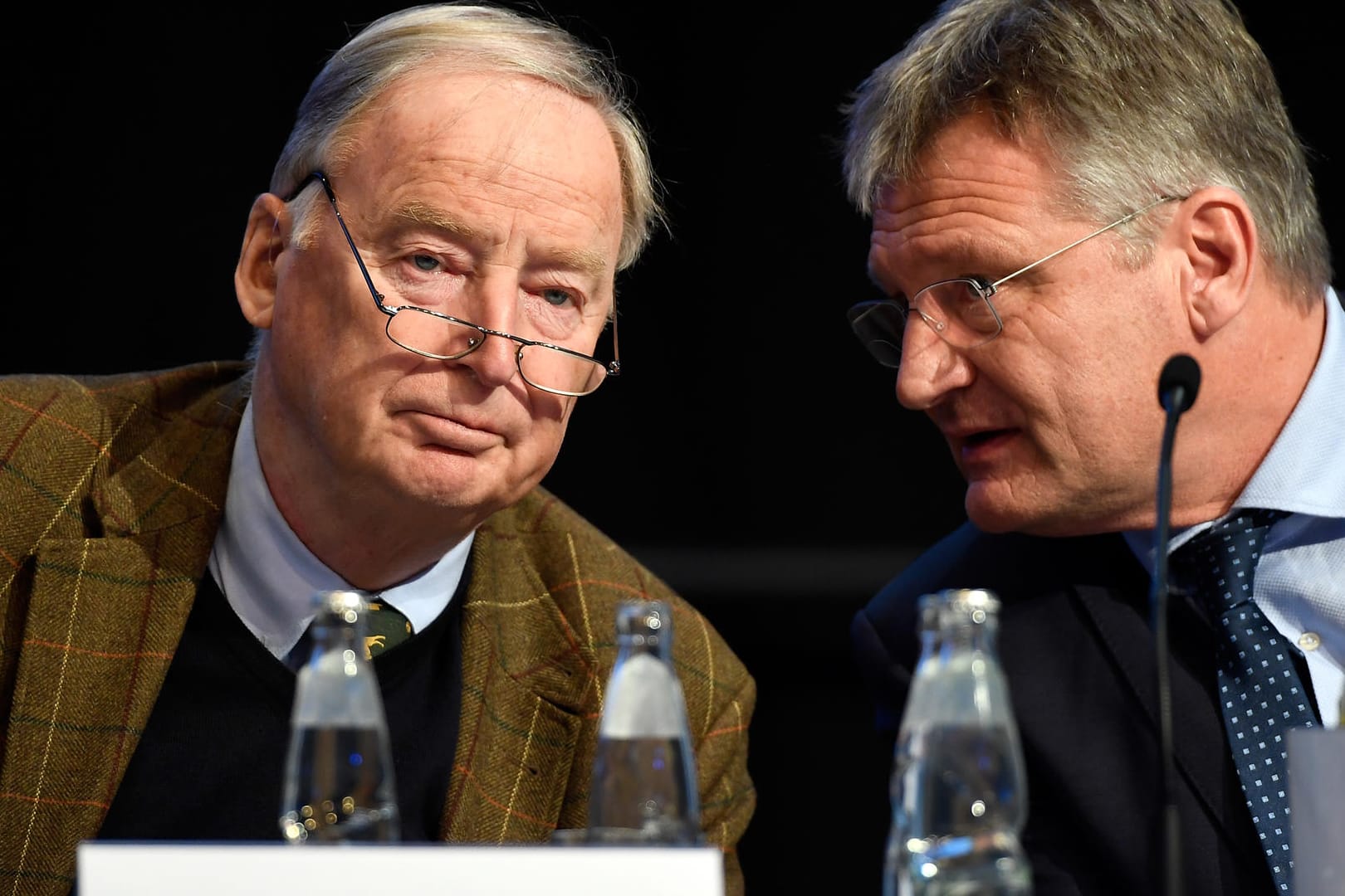 Die AfD-Vorsitzenden Meuthen und Gauland: Ihre Partei weist eine ausdrückliche Nähe zu Russland auf – wie fast alle rechten Parteien in Europa.