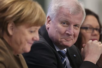 Bundeskanzlerin Angela Merkel (l.) und Innenminister Horst Seehofer: Wirtschaftsverbände kritisieren die Pläne vom neuen Innenminister.