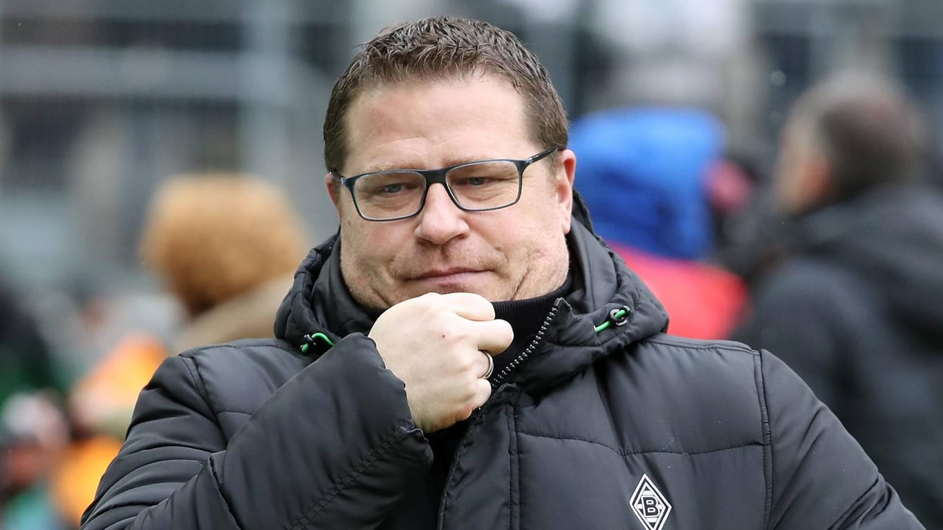 Max Eberl beim Spiel gegen Hoffenheim: Wegen eines Ausrasters des Gladbach-Managers ermittelt jetzt der DFB.