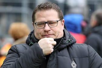 Max Eberl beim Spiel gegen Hoffenheim: Wegen eines Ausrasters des Gladbach-Managers ermittelt jetzt der DFB.