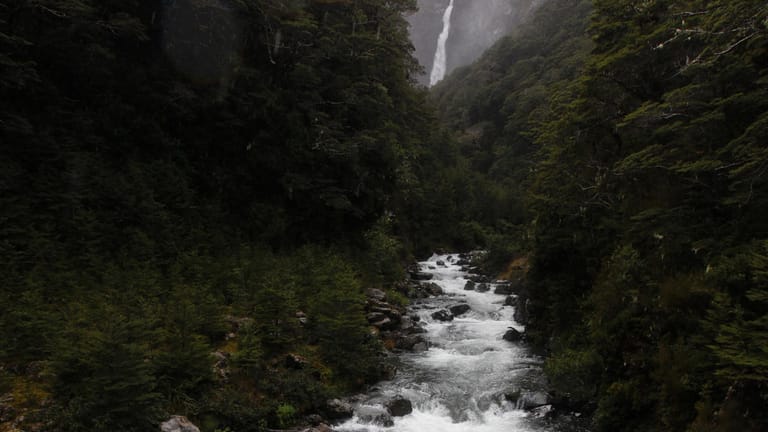 Ein Wasserfall fließt durch den Arthur's Pass National Park in Neuseeland: Eine deutsche Urlauberin ist im Nationalpark Arthur's Pass ums Leben gekommen. (Archivbild)