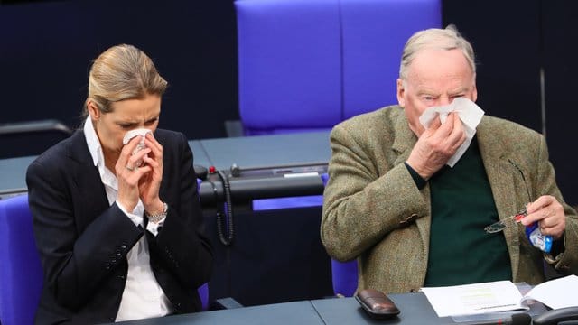 Wegen der Umfragewerte verschnupft? AfD-Fraktionschefin Alice Weidel und Alexander Gauland putzen sich synchron die Nase. Wegen der Umfragewerte verschnupft? AfD-Fraktionschefin Alice Weidel und Alexander Gauland putzen sich synchron die Nase.
