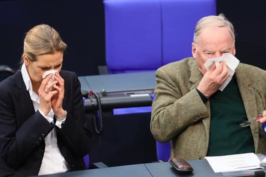 Wegen der Umfragewerte verschnupft? AfD-Fraktionschefin Alice Weidel und Alexander Gauland putzen sich synchron die Nase.
