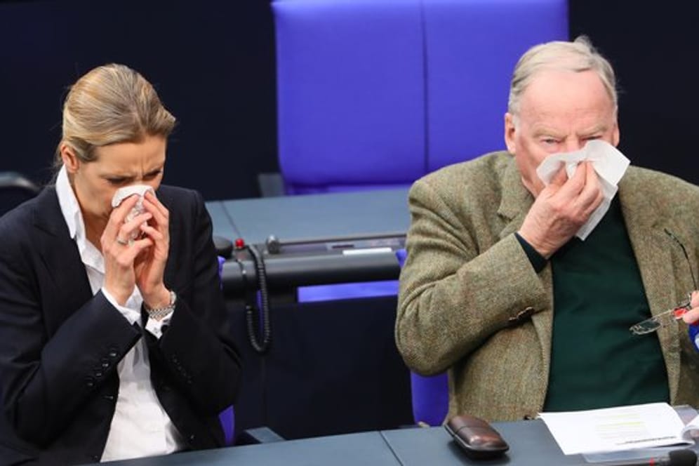 Wegen der Umfragewerte verschnupft? AfD-Fraktionschefin Alice Weidel und Alexander Gauland putzen sich synchron die Nase.