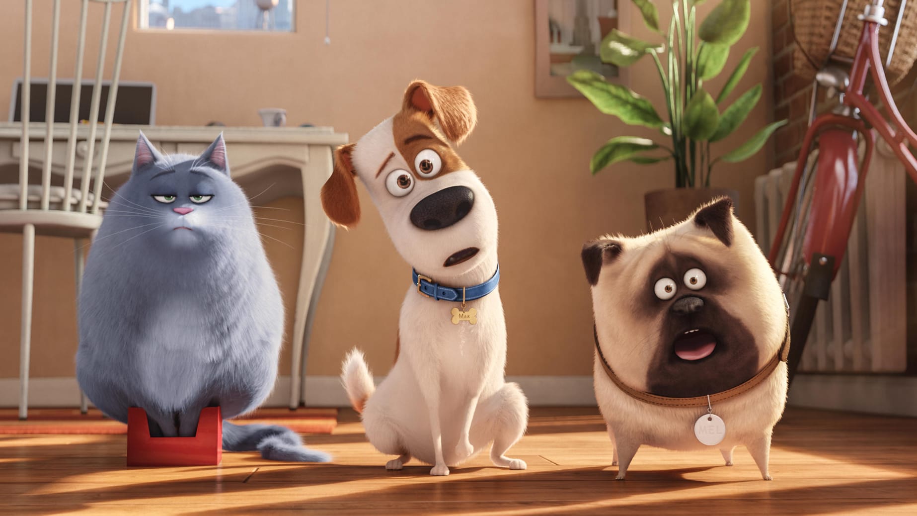 "Pets": Was machen unsere Haustiere, wenn wir nicht da sind?