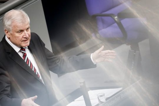 Innenminister Horst Seehofer spricht im Bundestag.