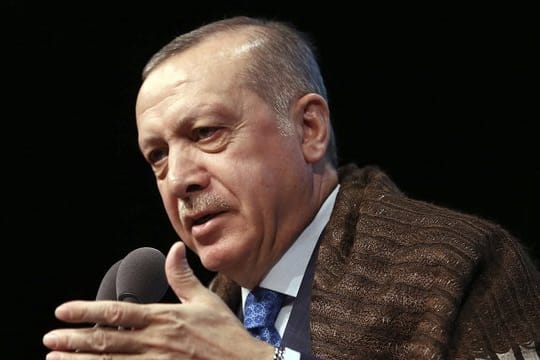 Erdogan: "Die Türkei ist ein demokratischer Rechtsstaat, der Menschenrechte und Grundrechte und Freiheiten respektiert.