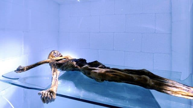 Ötzi in seiner Kühlkammer.