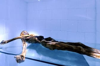 Ötzi in seiner Kühlkammer.