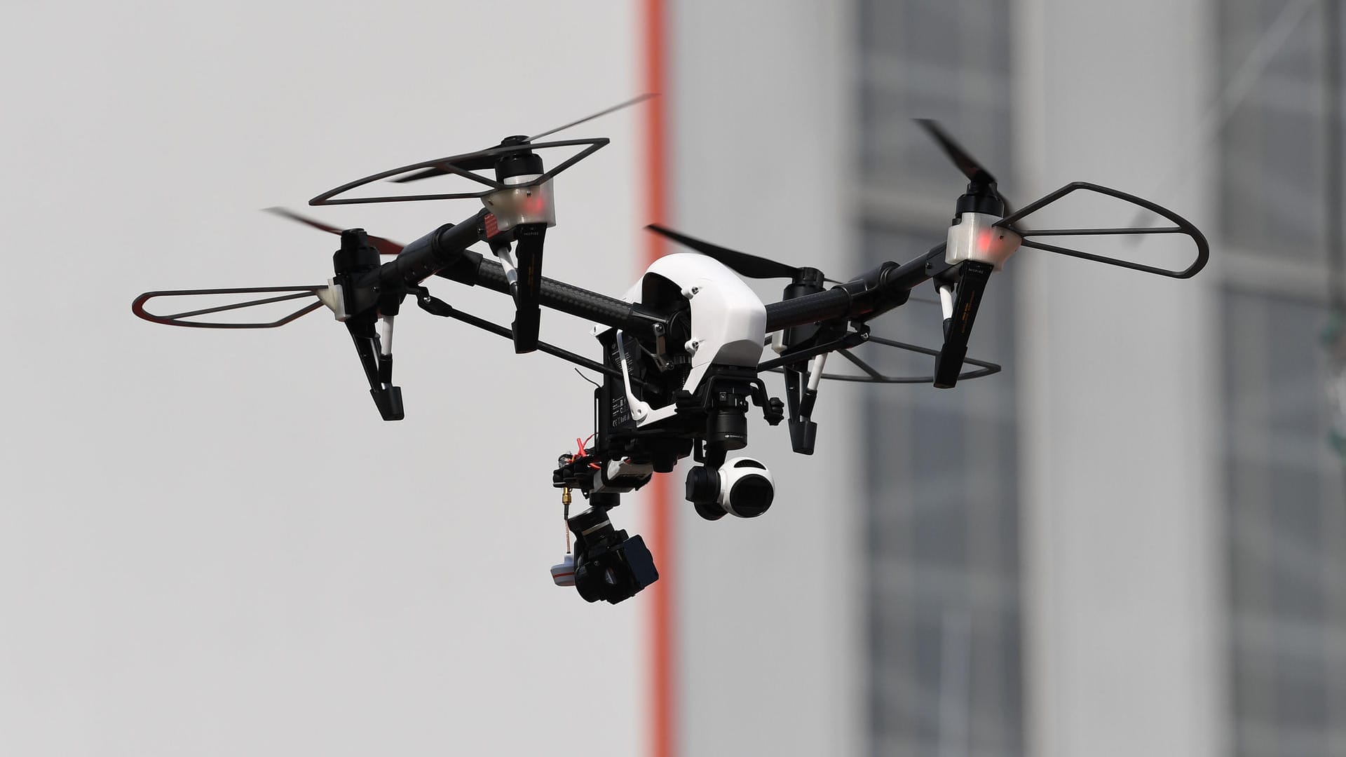 Fliegende Drohne: Die kleinen Flugobjekte sollen auf Palma de Mallorca bei der Bekämpfung von Ungeziefer helfen. (Symbolbild) Fliegende Drohne: Die kleinen Flugobjekte sollen auf Palma de Mallorca bei der Bekämpfung von Ungeziefer helfen. (Symbolbild)