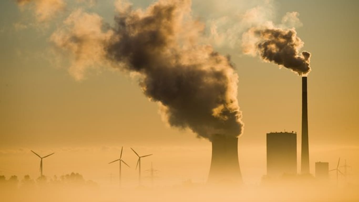 Noch in diesem Jahr soll ein Enddatum für den Kohleausstieg Deutschlands genannt werden.