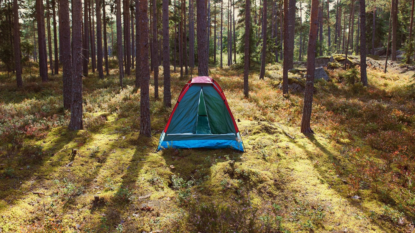 Ein Zelt im Wald: Wer in Deutschland in der freien Natur campen will, muss Regeln beachten.