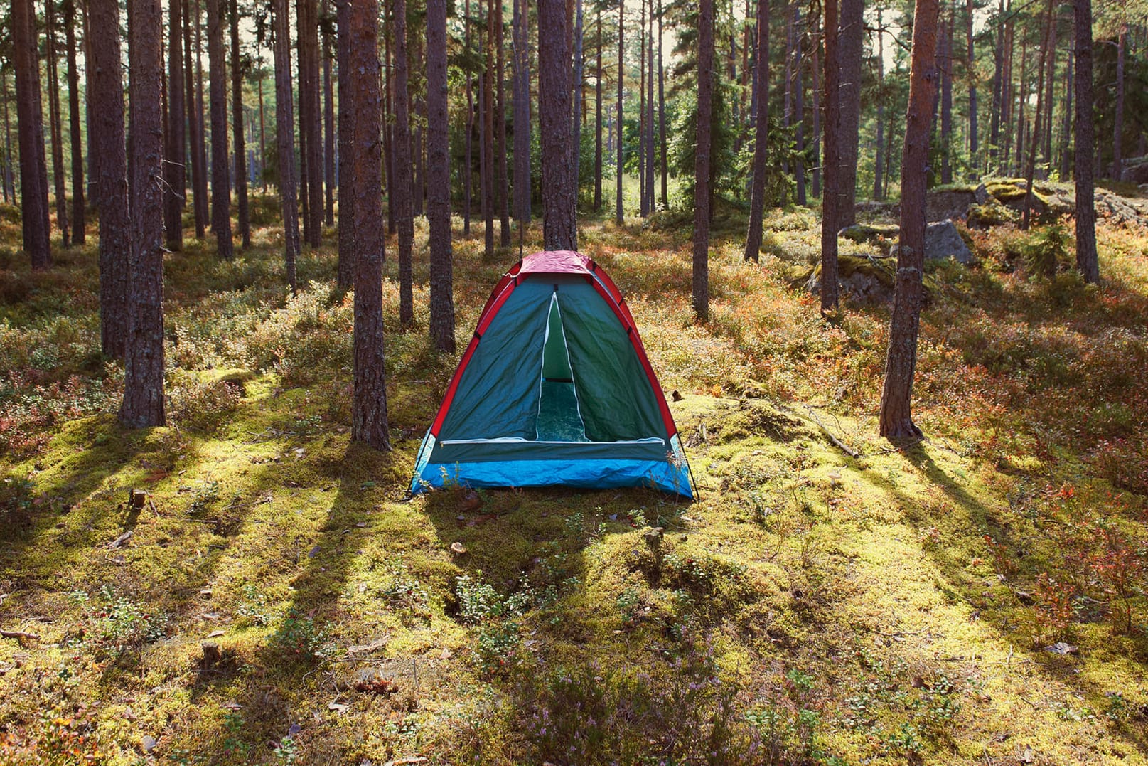 Ein Zelt im Wald: Wer in Deutschland in der freien Natur campen will, muss Regeln beachten.