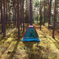 Ein Zelt im Wald: Wer in Deutschland in der freien Natur campen will, muss Regeln beachten.
