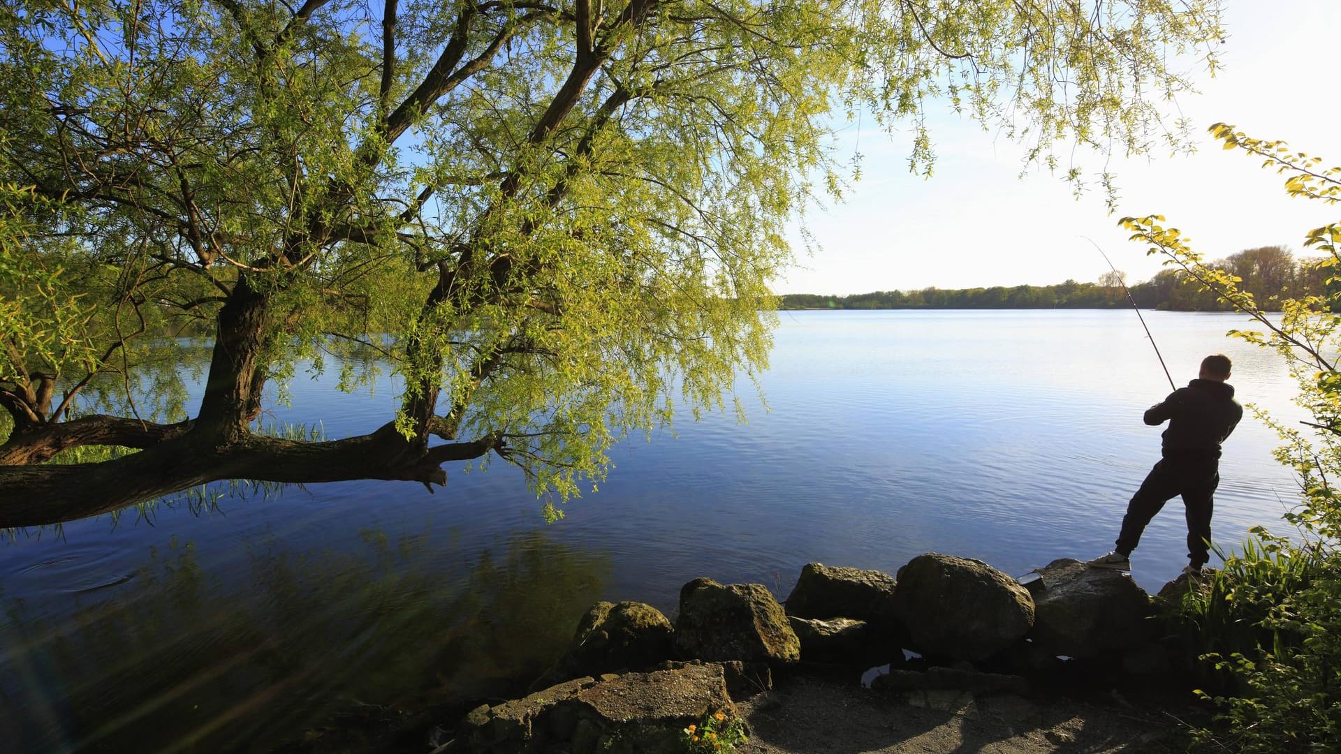 Mann angelt am See