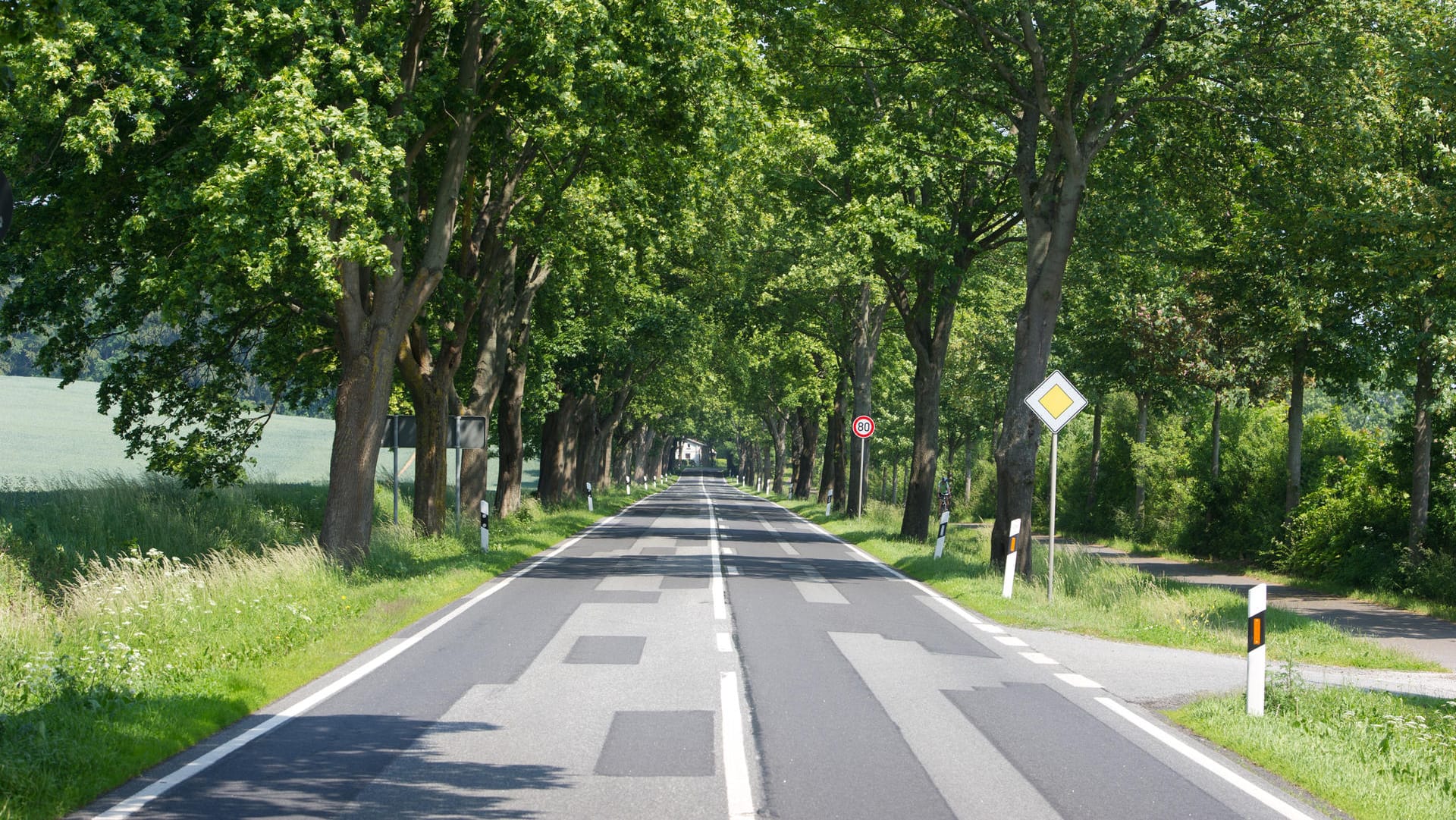 Bundesstraße B96: Der Plan der EU-Kommission sieht nun zum einen vor, Straßen, Schienen und Brücken in Europa bis 2019 auf ihre militärische Tauglichkeit hin zu überprüfen. (Symbolbild.)