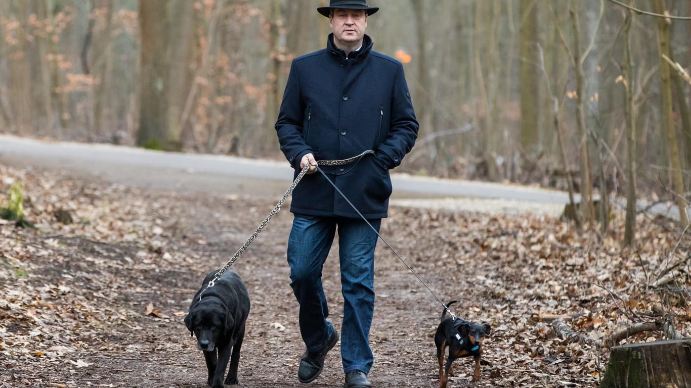 Söder mit seinen Hunden Fanny und Bella im Wald: Der 51-Jährige geht selten vor Mitternacht ins Bett.