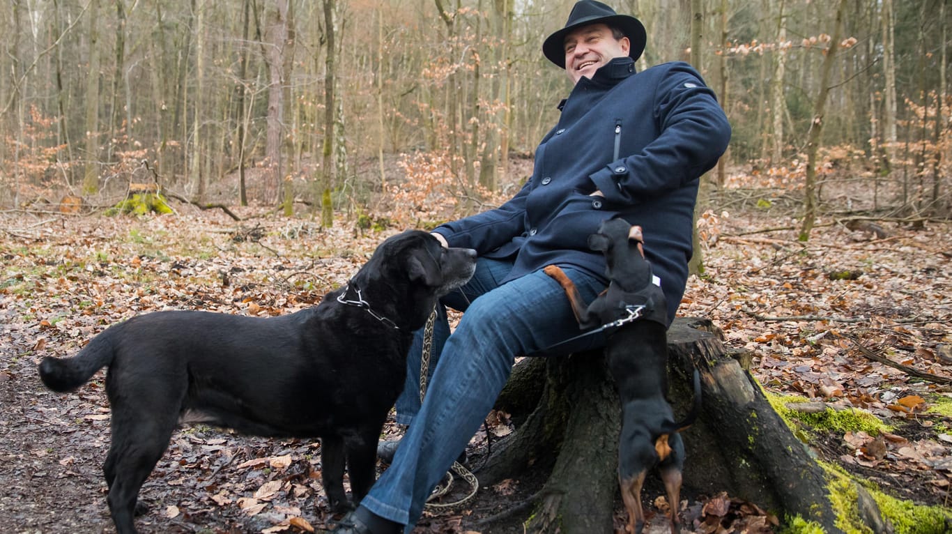 Söder mit Labrador-Hündinn Fanny im Wald: Der bayrische Ministerpräsident legt großen Wert darauf, dass sein Privatleben "privat" bleibt.