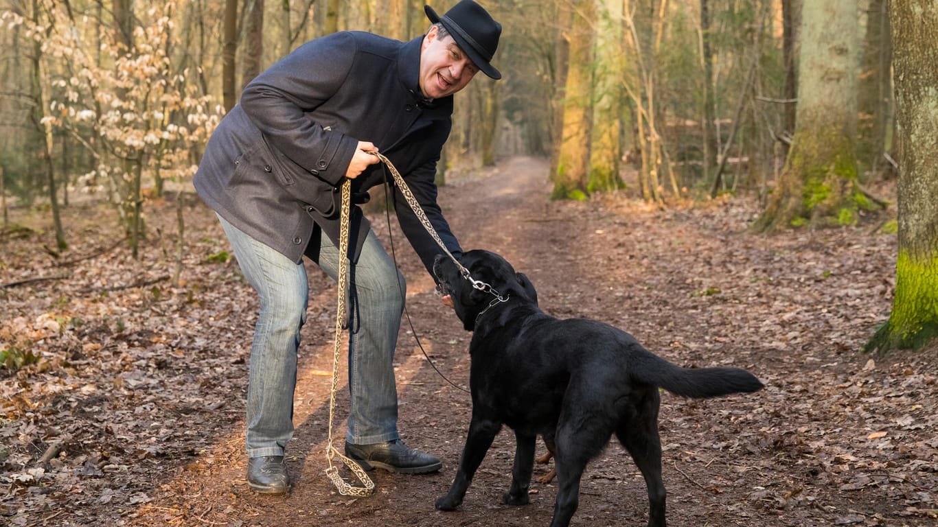 Markus Söder, Ministerpräsident von Bayern, geht mit seinen Hunden Fanny, einer Labrador-Hündin, und Bella, einer Zwergpinscher-Hündin, im Wald spazieren.