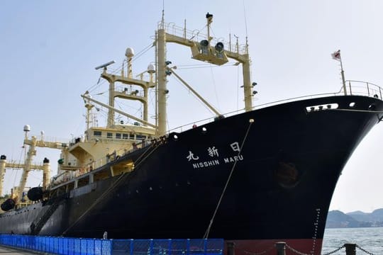 Das japanische Walfangschiff Nisshin Maru ankert im Hafen von Shimonoseki.