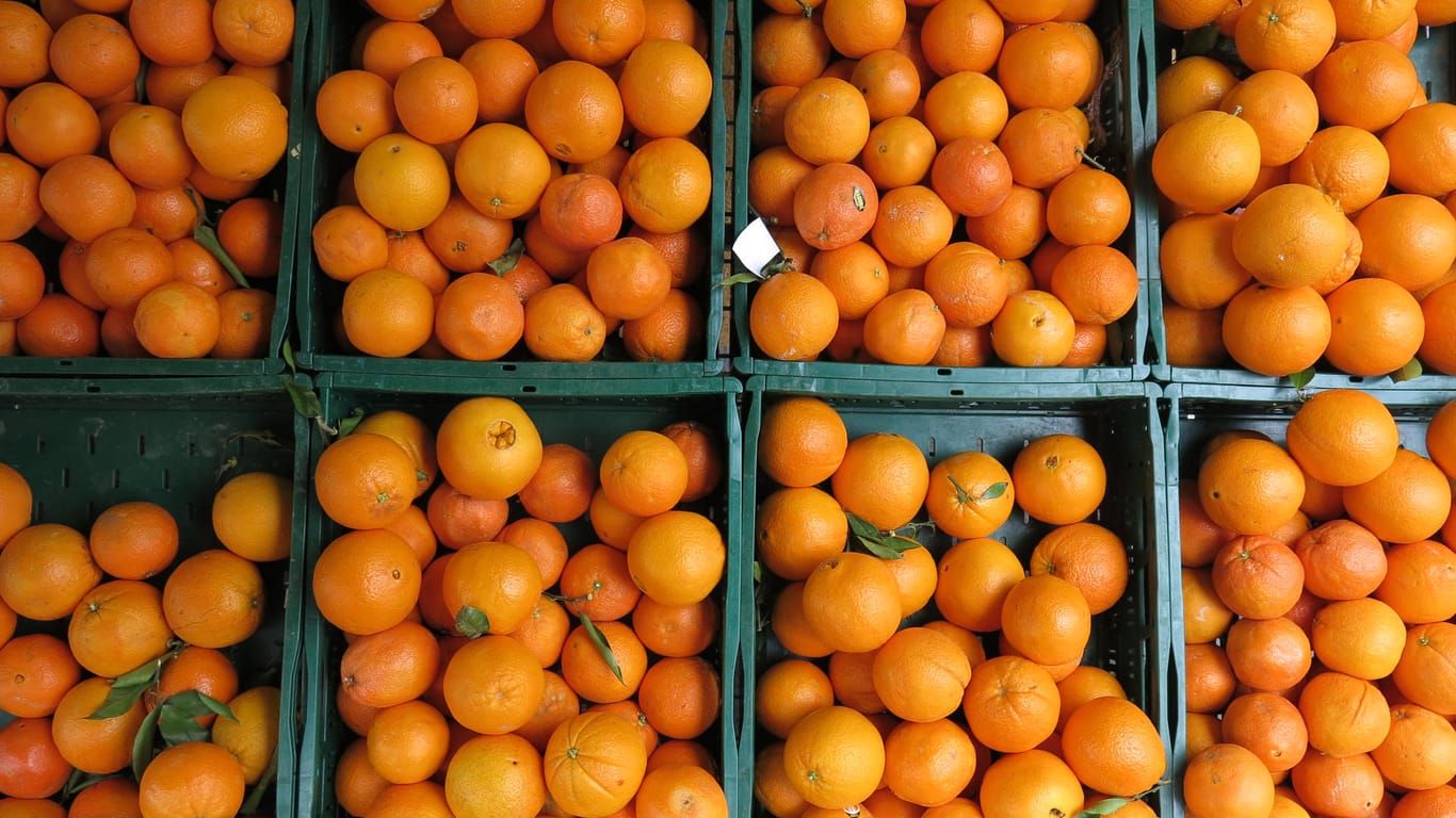 Orangen: Der Verbraucher kann schwer feststellen, ob er mit seiner gekauften Ware ein modernes Sklavensystem mafiösen Charakters mitten in Europa unterstützt.
