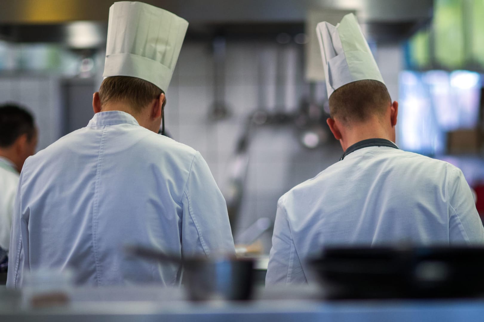 Köche bei den Landesmeisterschaften des Gastro-Nachwuchses in Stralsund: Im Gastrogewerbe bricht jeder zweite Auszubildende die Lehre ab.