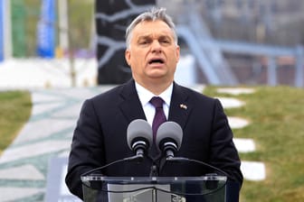 Viktor Orban bei einer Rede in Budapest: Unter seiner Regierung haben es Nichtregierungsorganisationen in Ungarn schwer.