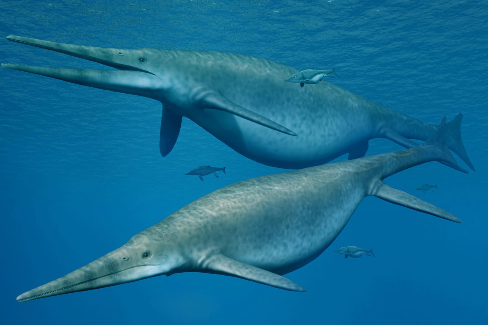 Die Darstellung zweier Shonisaurus, einer Ichthyosauriergattung (Fischsaurier): Vor 205 Millionen Jahren zogen gigantische Fischsaurier durch die prähistorischen Meere.