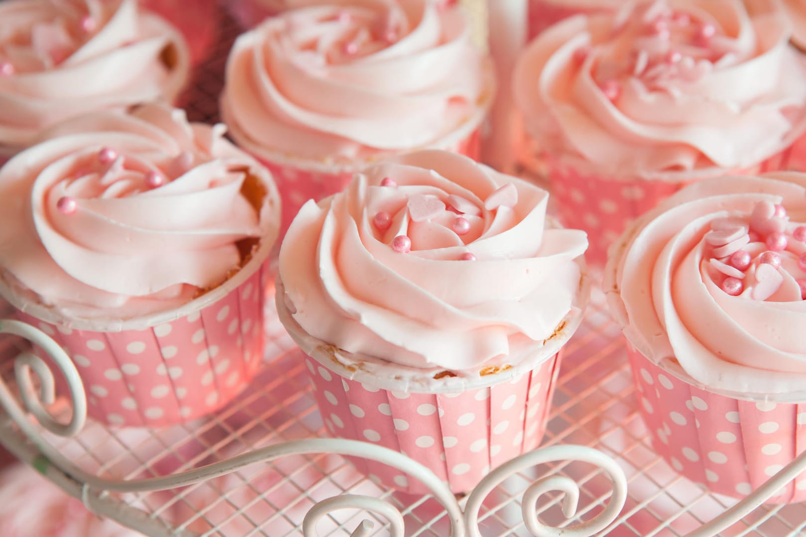 Pink cupcakes on shelf for wedding or valentine