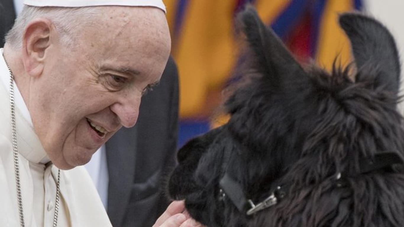 Das Lama und Papst Franziskus - alle sind willlkommen.