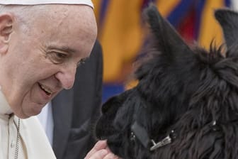 Das Lama und Papst Franziskus - alle sind willlkommen.