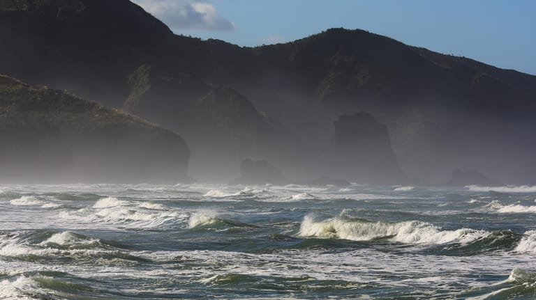 Die Küste "Bethells Beach" in Auckland, Neuseeland: Die neuseeländische Regierung verbietet neue Öl- und Erdgasförderungen vor der eigenen Küste.