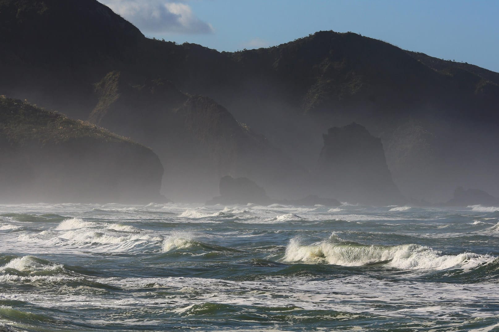 Die Küste "Bethells Beach" in Auckland, Neuseeland: Die neuseeländische Regierung verbietet neue Öl- und Erdgasförderungen vor der eigenen Küste.